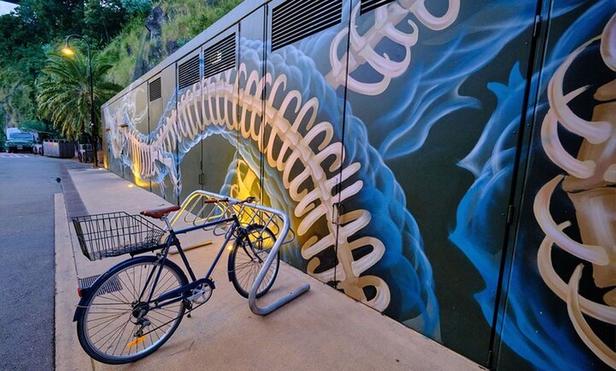 Image 5: International Street Art Walking Tour in Brisbane