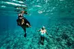 Small Group Coral Gardens Snorkel & Waterslide Adventure - Second Medium