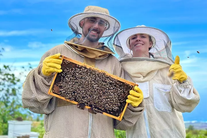 Honey Bee Adventure at the Maui Honey Bee Sanctuary
