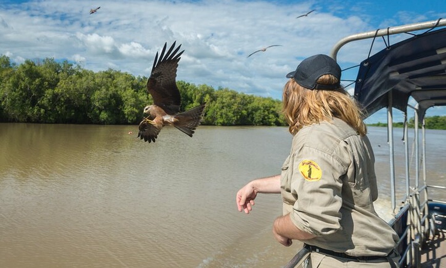 Image 4: Crocodile Jumping Boat Cruise with Transfer from Darwin