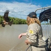 Image 4: Crocodile Jumping Boat Cruise with Transfer from Darwin