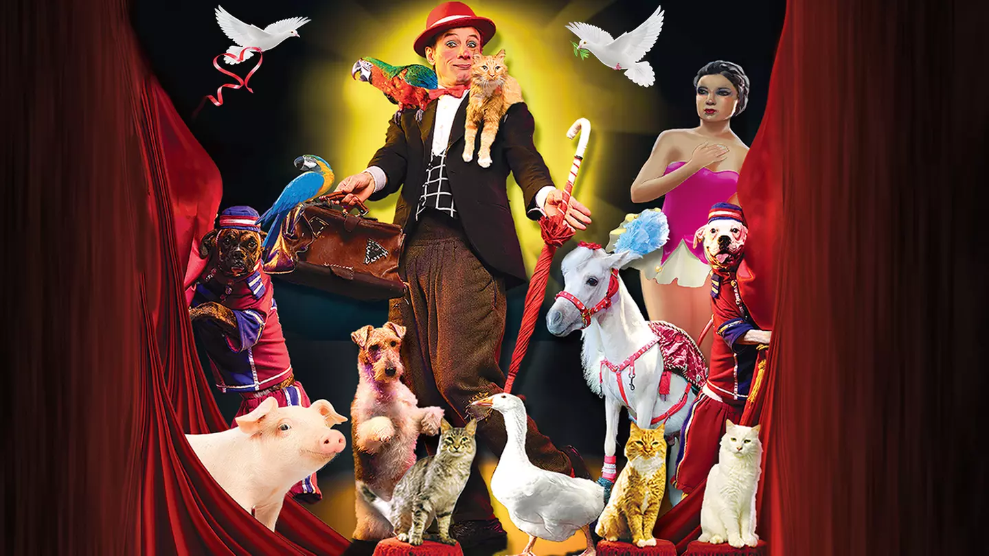 Popovich Comedy Pet Theater - Sunday, Jan 29, 2023 / 4:00pm - Primary Image