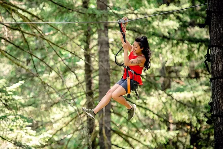 Aerial Adventure and Ziplines Close to Porland Oregon