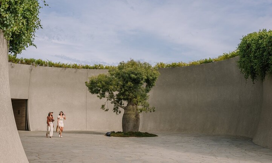 Image 9: Explore Mornington Wildlife Wine and Hot Springs