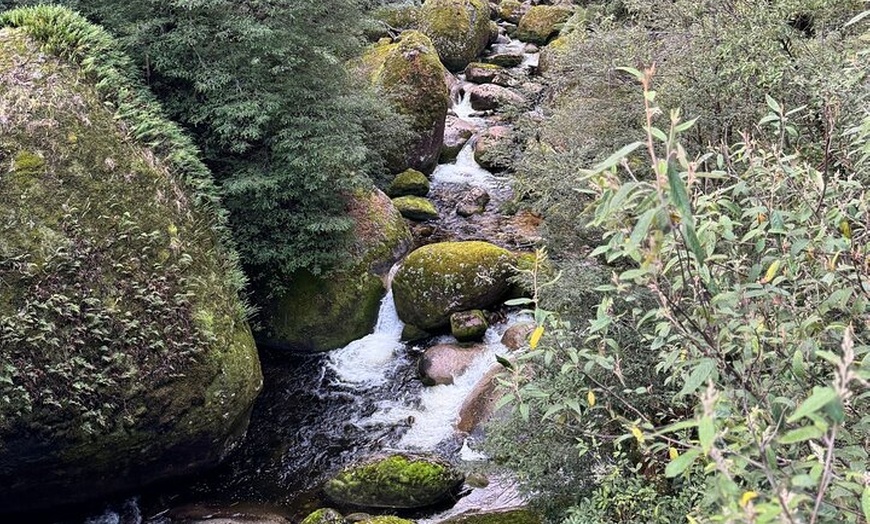 Image 8: Melbourne: Ultimate Mt Baw Baw Snow Private Tour Experience.