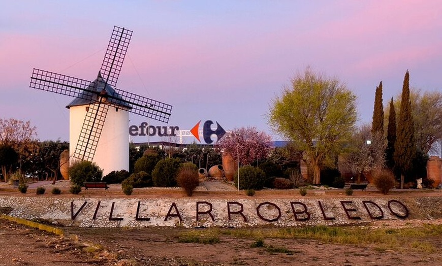 Image 7: Excursión privada de un día a Segovia y La Mancha Molinos de viento