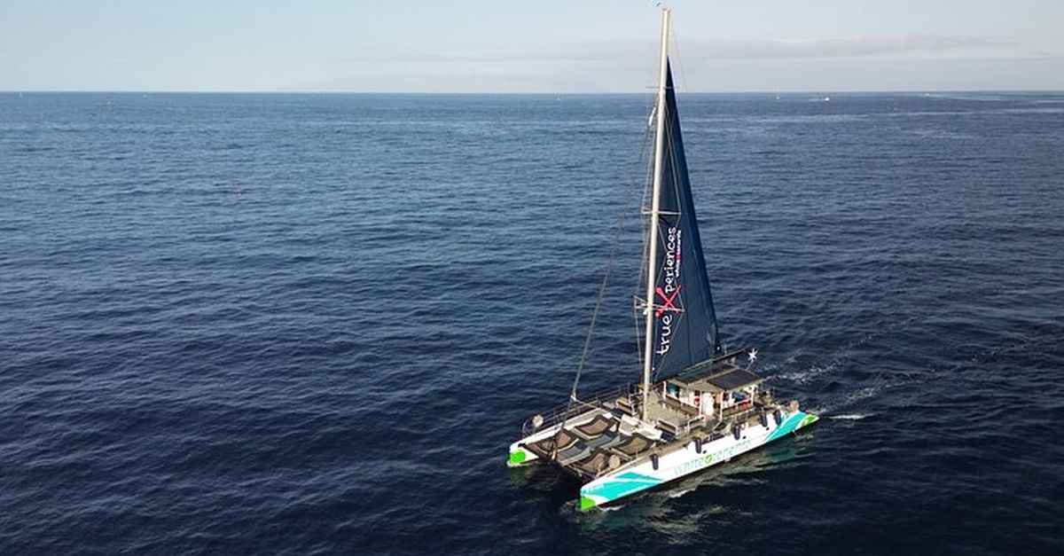 Tour de observación de ballenas en ecocatamarán en Tenerife
