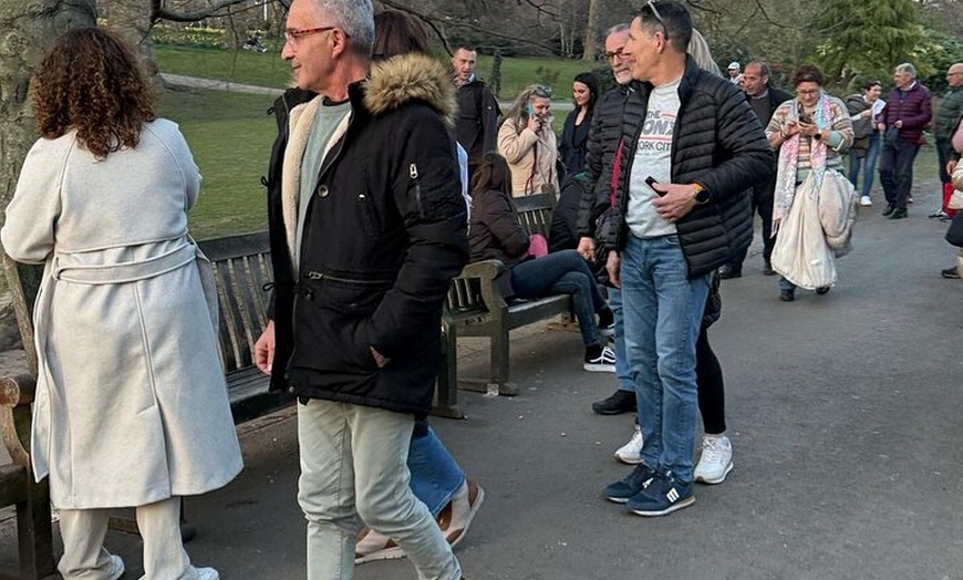 Image 7: Luxury Private Tour in London