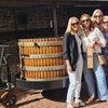 Image 5: Group of Four Private Barossa Wine Tour with Lunch