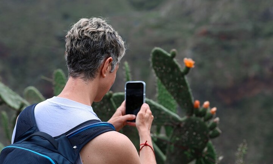 Image 21: Tenerife : Tour de Senderismo en Anaga & Bosque Encantado con Recogida