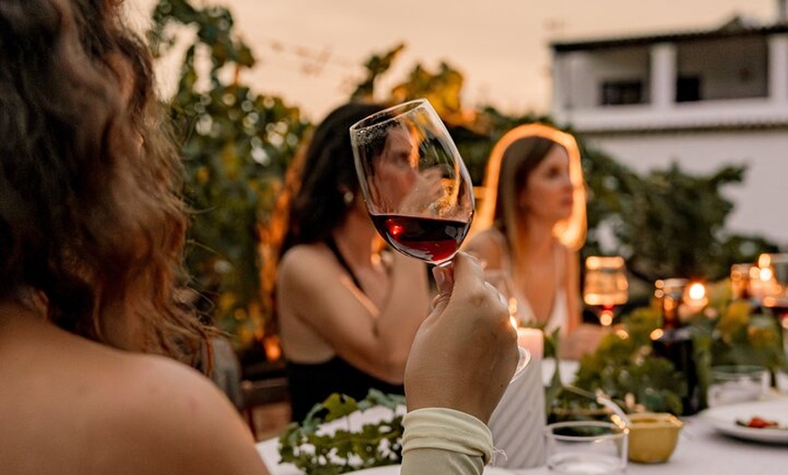 Image 8: Ibiza : Cata privada de vinos y aceites de oliva y Tapas y transporte