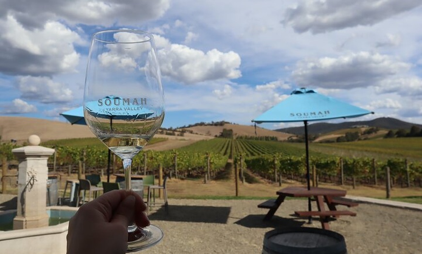 Image 14: Small Group Yarra Valley: Redwoods Forest & Premium Wine Tour