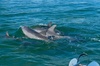 Private Boat Charters Experience