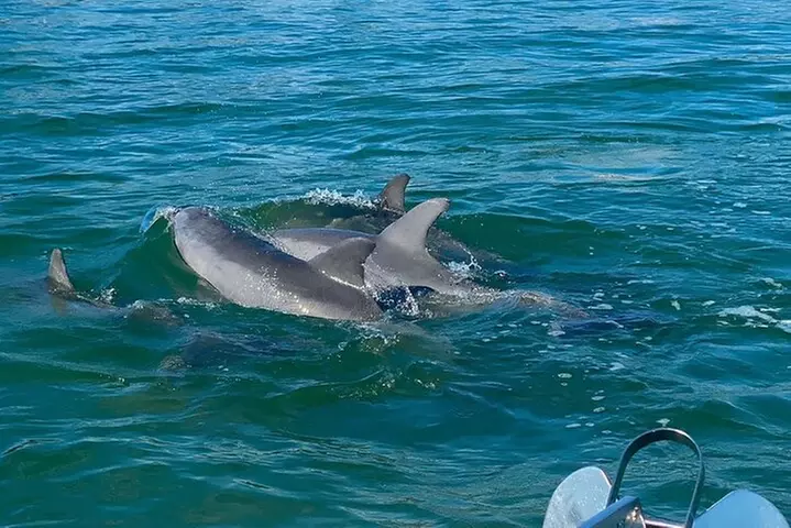 Private Boat Charters Experience - Primary Image