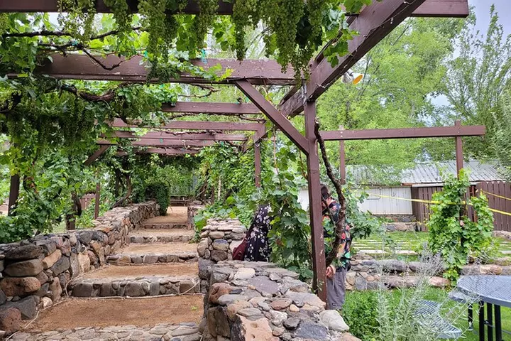 Private Wine Tour, Voted best in town, Tastings Included!