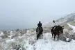 Winter Horseback Riding in Soldier Hollow Stables - Image 6