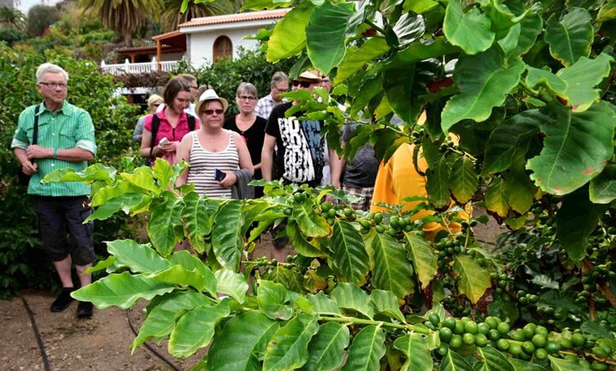 Image 6: Vuelta a la isla de Gran Canaria