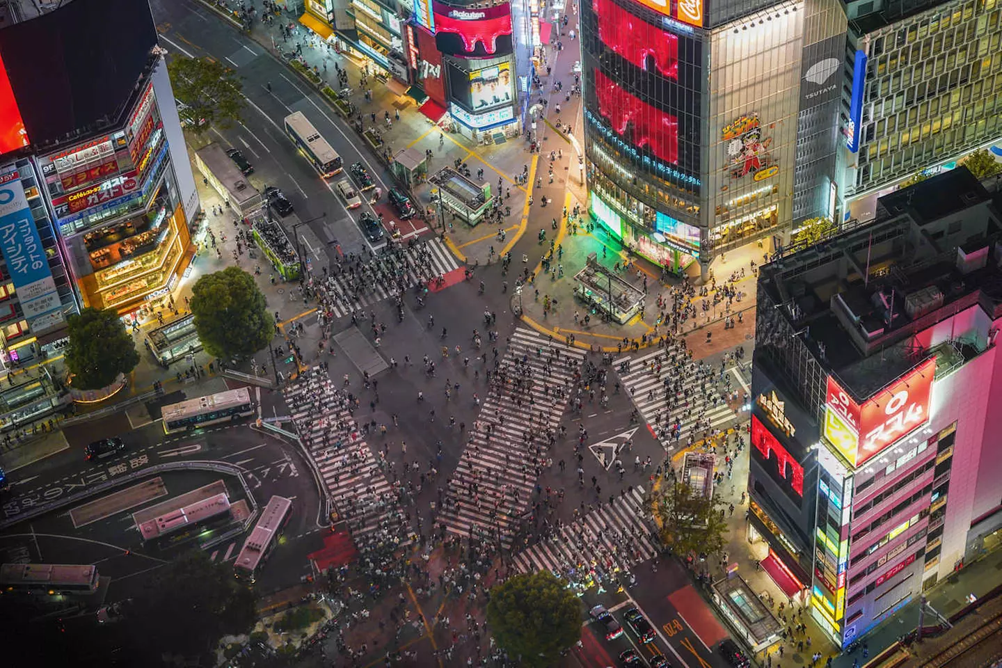 ✈ GIAPPONE | Da Tokyo a Osaka - Paradiso Giapponese: Tokyo, Kyoto, ...