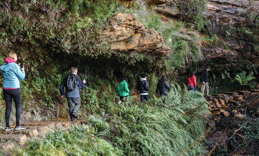 Image 1: Small Group Blue Mountains Wildlife and Bushwalk Tour From Sydney