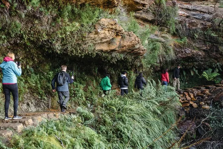 Exclusive Blue Mountains Wildlife and Bushwalk Tour From Sydney