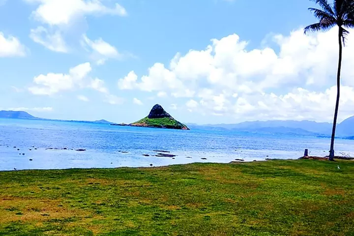 Oahu: All Day Circle Island Tour with Snorkeling
