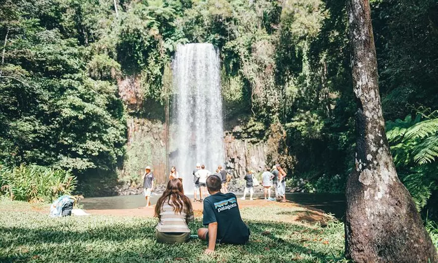 Image 8: Waterfalls and Rainforest Tour from Cairns