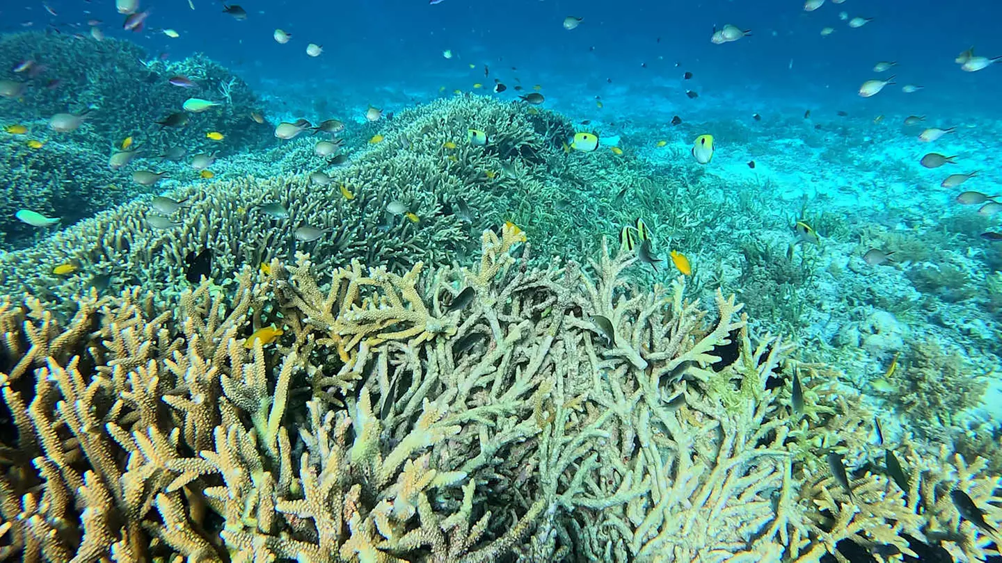 ✈ INDONESIA | Bali & Lombok - Alla scoperta delle isole indonesiane...