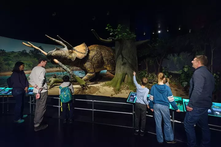 American Museum of Natural History Admission Ticket