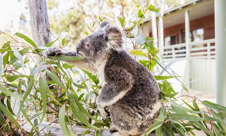 Image 2: 14 Day Tour from Sydney to Cairns Fraser Island and Whitsundays
