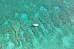 2 Dive Scuba Diving Reef Excursion to Key Largo Marine Sanctuary - Second Medium