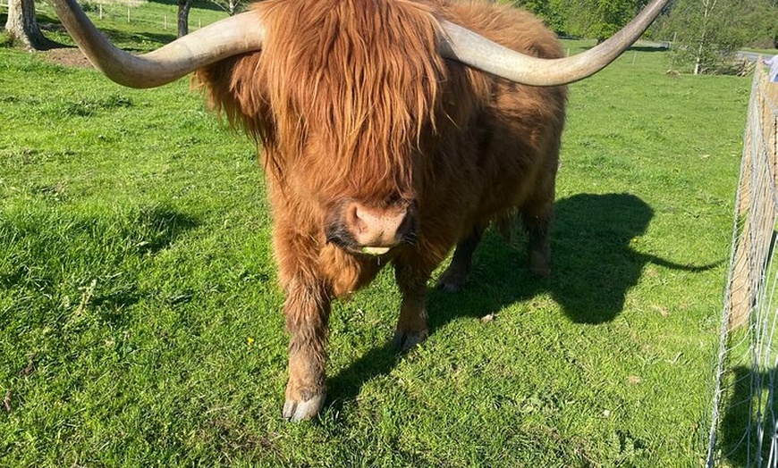 Image 10: Glenfiddich Distillery Whisky Tour Speyside Inc Admission fee's