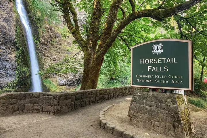 Multnomah Falls and Columbia River Gorge Waterfalls Tour Morning