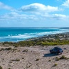 Image 3: Port Lincoln National Park Half day Tour