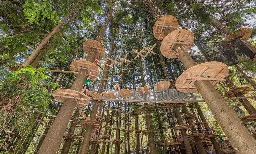 Image 3: Treetops Adventure The Hills - Tree Ropes Course