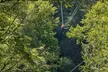 Tree Tops Zip Line Canopy Tour - Second Medium