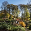 Image 2: RHS Garden Bridgewater