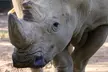 Sacramento Zoo General Admission Ticket - Second Medium