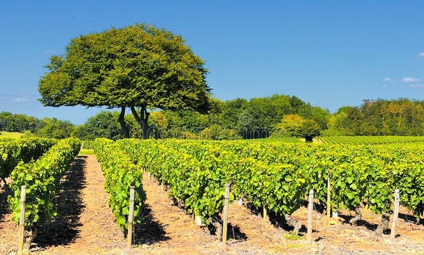 Image 1: Beaujolais demi-journée