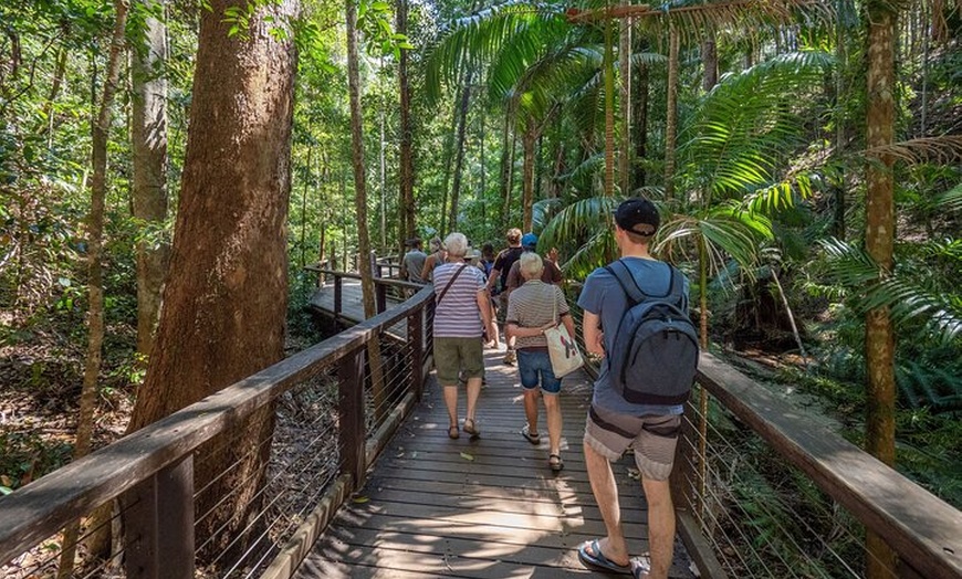 Image 21: East Coast Australia 16 Day Comfort Tour from Sydney to Daintree