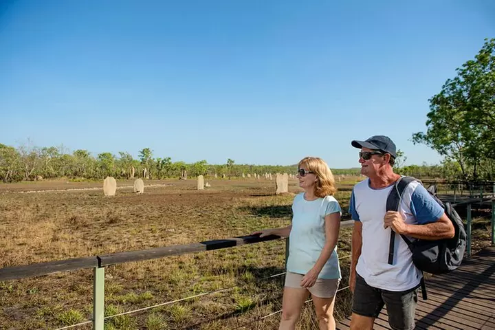 Litchfield National Park Tour with Wetlands or Crocodile Cruise