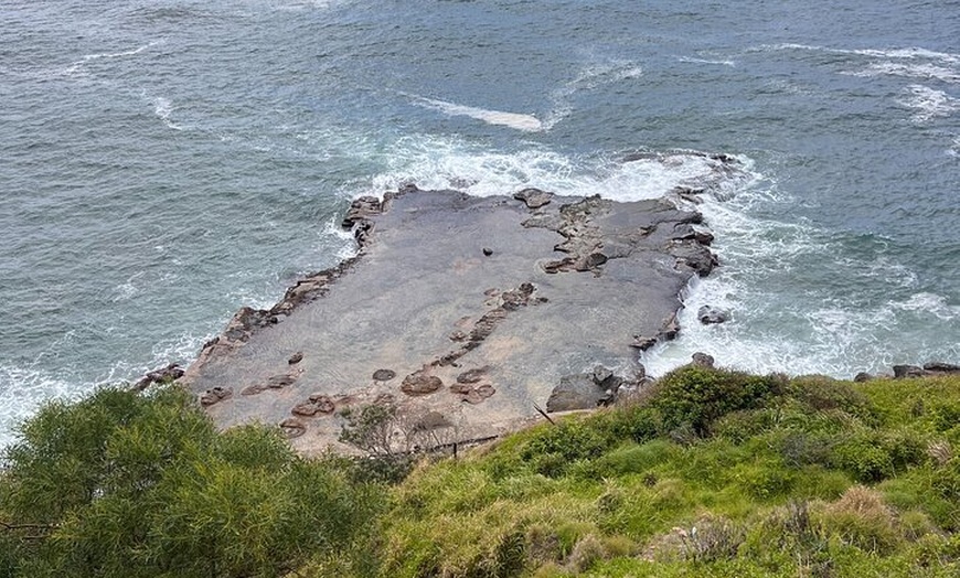 Image 12: Sydney South Coast and Highlands Private Tour