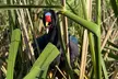 Airboat Swamp Tour with Transportation from New Orleans - Second Medium
