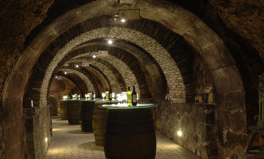 Image 4: Rioja Alavesa: Auténticas experiencias de vino
