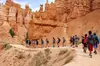 Bryce Canyon and Zion National Park Tour