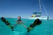 3 Night Ningaloo Reef Snorkel and Dive Getaway from Coral Bay - Image 6
