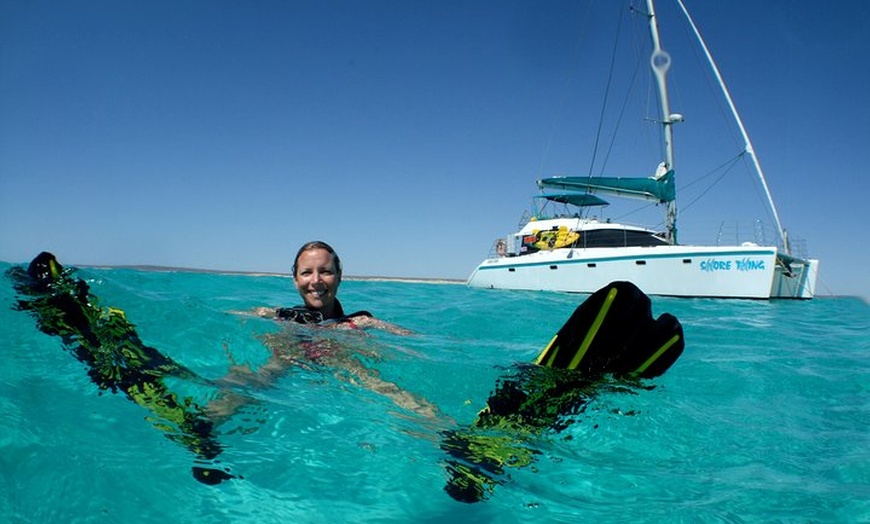 Image 6: 3 Night Ningaloo Reef Snorkel and Dive Getaway from Coral Bay