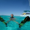 Image 6: 3 Night Ningaloo Reef Snorkel and Dive Getaway from Coral Bay