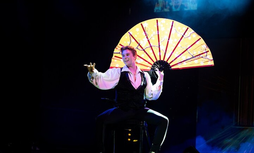 Image 19: Wintergarten Varieté "FLYING LIGHTS" inkl. Flying Steps