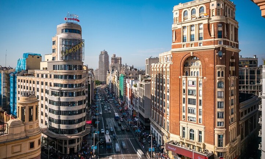 Image 11: Excursión privada de medio día en Madrid
