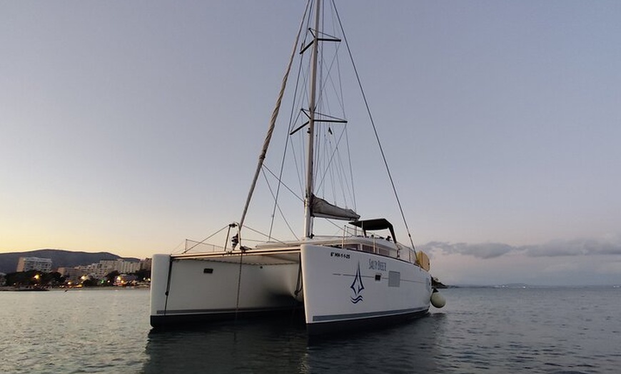 Image 4: Tour en catamarán por Mallorca con tapas - grupo pequeño -